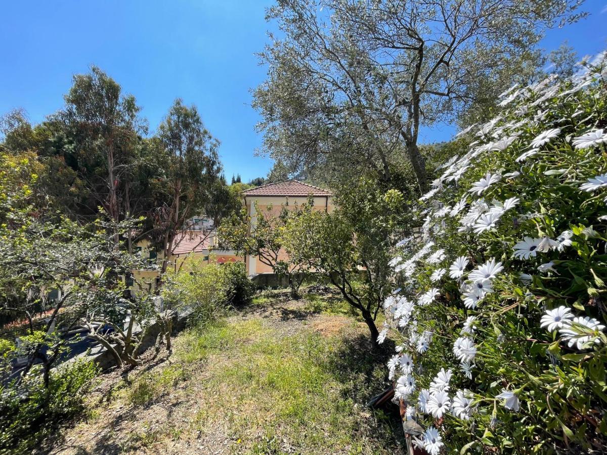 Holiday Rooms La Campagnetta Alassio Dış mekan fotoğraf